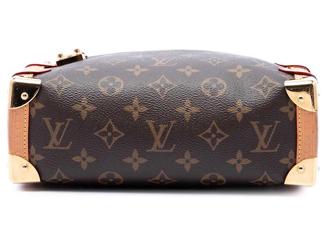 Louis Vuitton Brown Monogram Side Trunk MM Castaño - vista 3