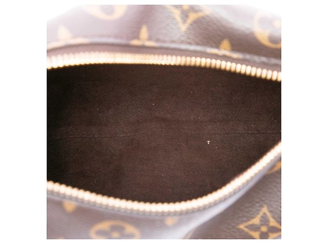 Louis Vuitton Brown Monogram Side Trunk MM Castaño - vista 4