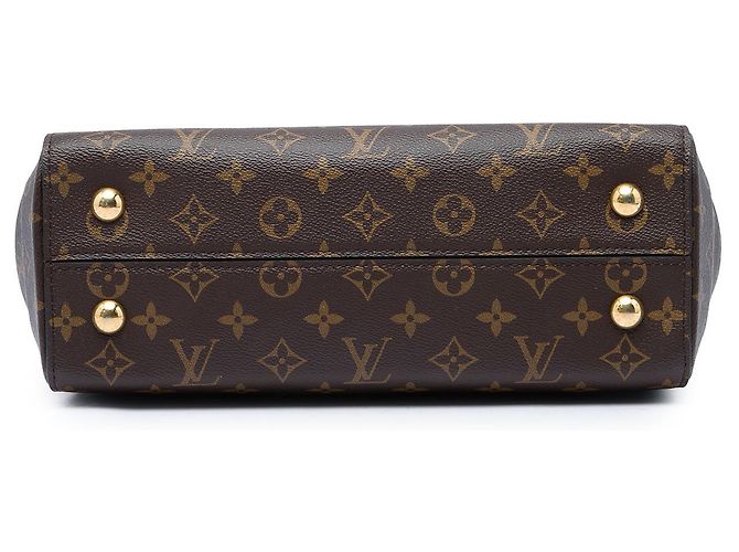 Louis Vuitton Brown Monogram Cluny MM Marrone - vista 3