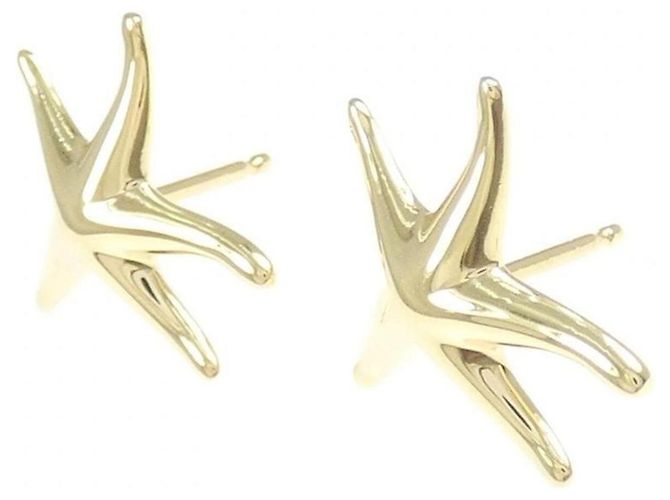 Autre Marque Pendientes Tiffany Starfish - vista 2