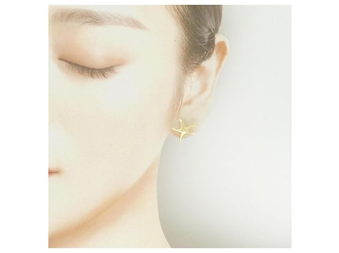 Autre Marque Pendientes Tiffany Starfish - vista 4