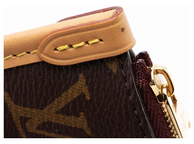 Louis Vuitton Monogram Canvas CarryAll PM Pochette Castaño - vista 10