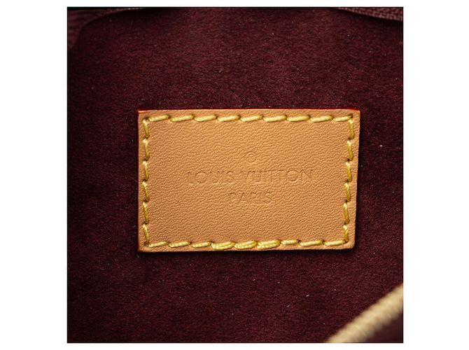 Louis Vuitton Monogram Canvas CarryAll PM Pochette Castaño - vista 6
