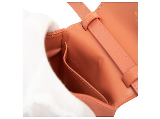Céline Borsa a tracolla/pochette Celine Triomphe Mini Claude Rosso - vista 6