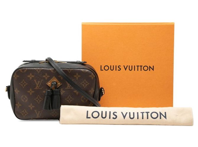 Borsa a mano/Borsa a tracolla Louis Vuitton Monogram Saint-Onge Marrone Nero - vista 7