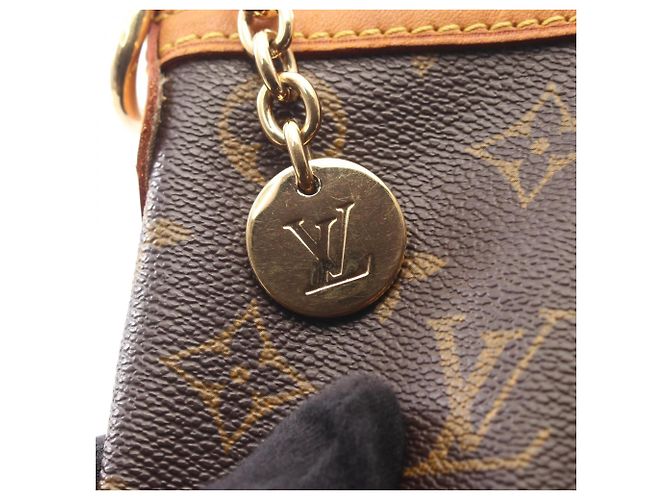 Bolso Louis Vuitton Palermo PM Castaño - vista 10