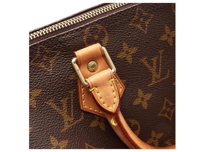 Borsa Louis Vuitton Speedy 25 Marrone - vista 10