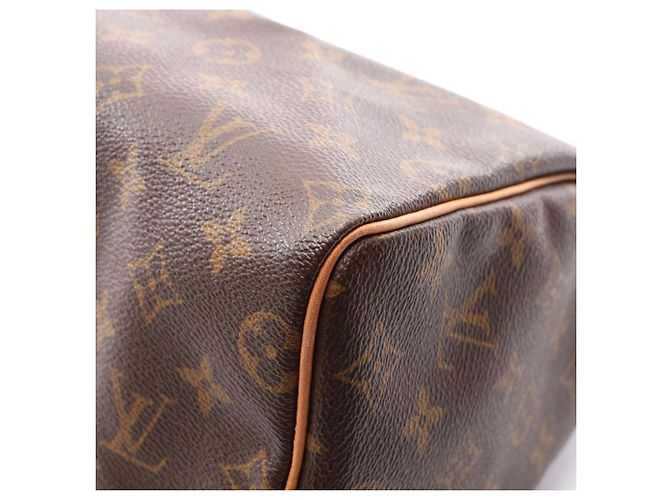 Borsa Louis Vuitton Speedy 25 Marrone - vista 6