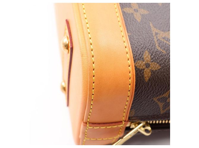 Borsa 2-Way Louis Vuitton Alma BB Marrone - vista 7