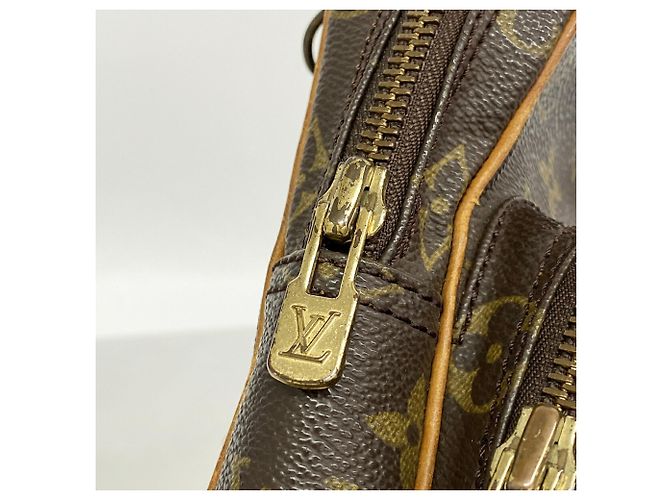 Bolso de hombro Louis Vuitton Monogram Mini Amazon Castaño - vista 7