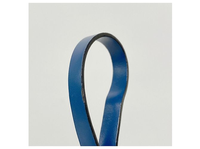 Louis Vuitton Epi Pochette Accessoires in Toledo Blue - vista 7