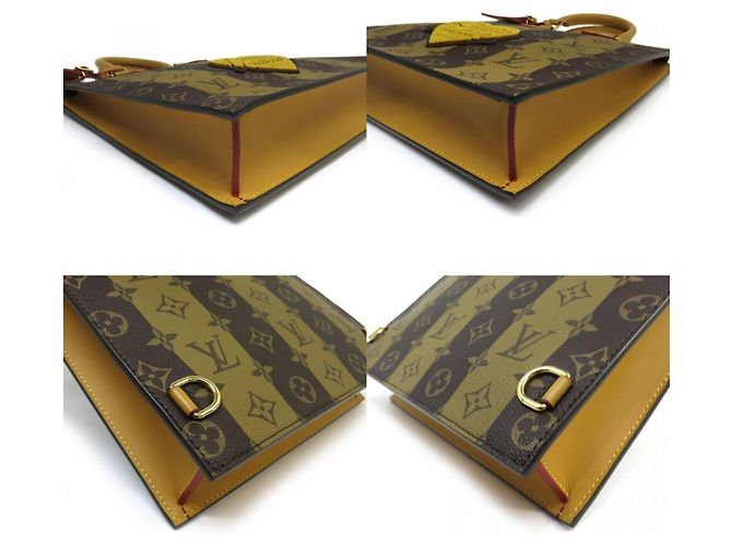 Louis Vuitton x Nigo Sac Plat Monogram Stripe Tote Bag Marrone D'oro - vista 5