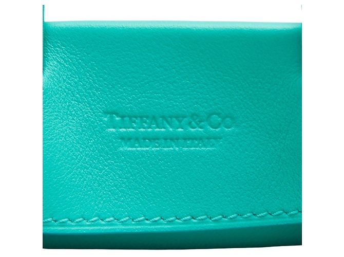 Autre Marque Tiffany & Co. Cat Street Mini Shopping Tote Blu - vista 7