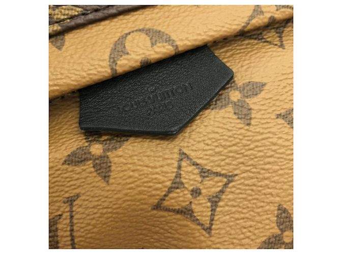 Mochila Palm Springs PM Monogram Reverse Louis Vuitton Castaño Monograma - vista 4