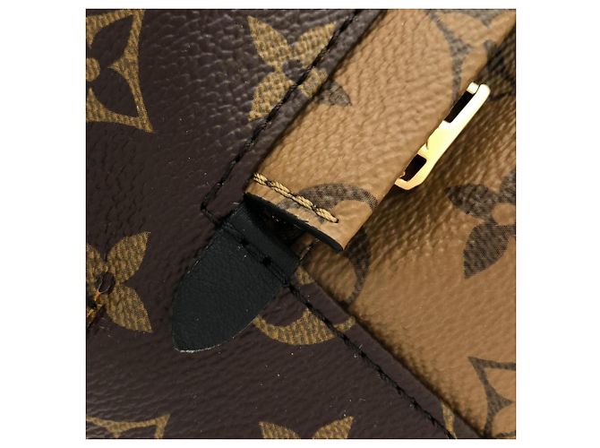 Mochila Palm Springs PM Monogram Reverse Louis Vuitton Castaño Monograma - vista 6