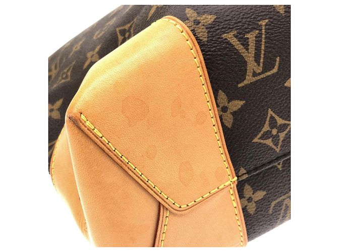 Sac à main Louis Vuitton Monogram Berry PM Marron Monogramme - vue 3