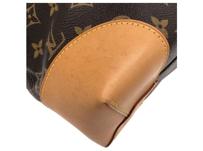 Sac à main Louis Vuitton Monogram Berry PM Marron Monogramme - vue 5
