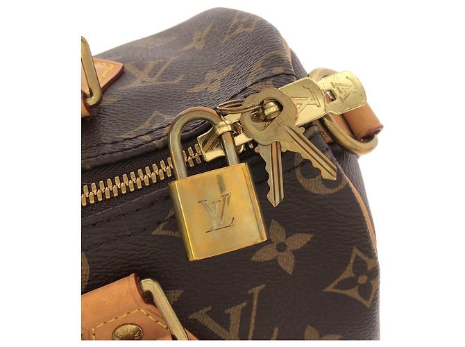 Borsa Boston Louis Vuitton Monogram Speedy Bandoulière Marrone Monogramma - vista 3
