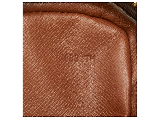 Bolso bandolera Louis Vuitton Monogram Amazon Castaño - vista 13