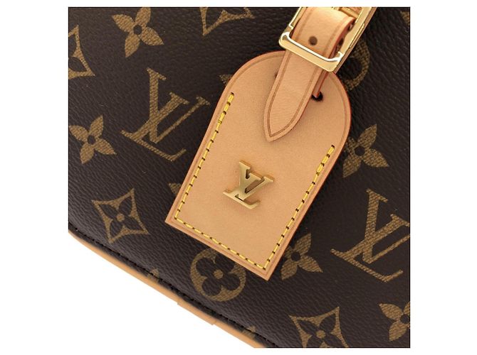 Borsa a tracolla Louis Vuitton Monogram Around Me Marrone - vista 5