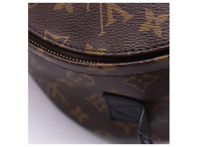 Louis Vuitton Monogram Palm Springs Rucksack PM Braun Schwarz Beige - Ansicht 12