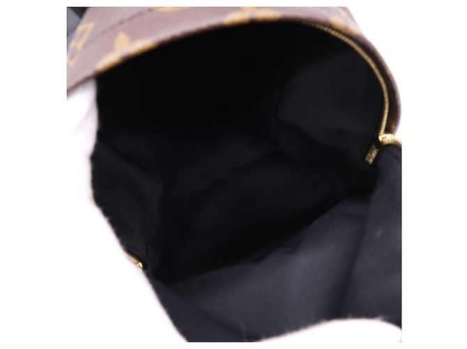 Louis Vuitton Monogram Palm Springs Rucksack PM Braun Schwarz Beige - Ansicht 13