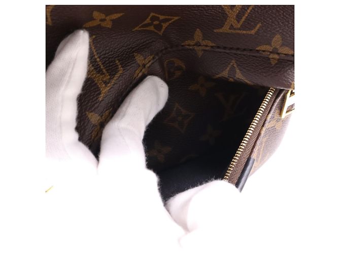 Louis Vuitton Monogram Palm Springs Rucksack PM Braun Schwarz Beige - Ansicht 15