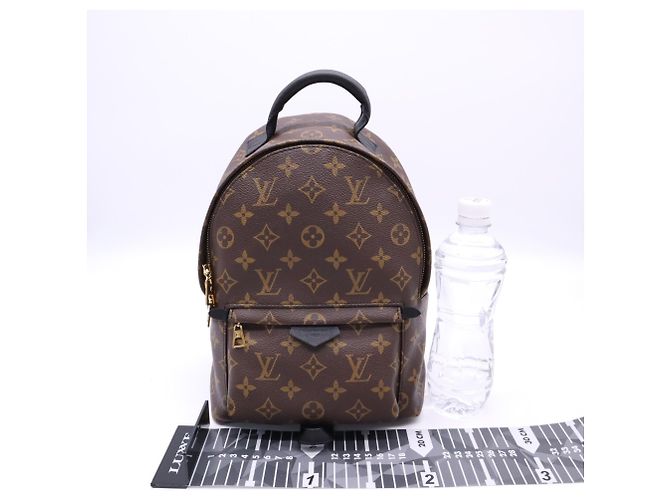 Louis Vuitton Monogram Palm Springs Rucksack PM Braun Schwarz Beige - Ansicht 3