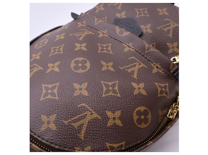Louis Vuitton Monogram Palm Springs Rucksack PM Braun Schwarz Beige - Ansicht 4