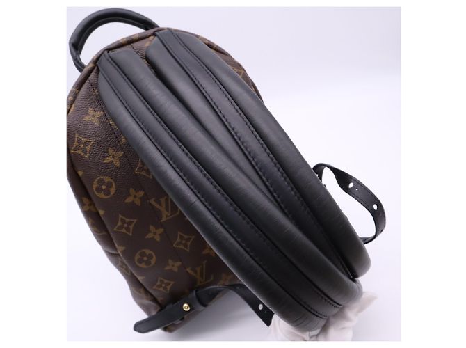 Louis Vuitton Monogram Palm Springs Rucksack PM Braun Schwarz Beige - Ansicht 9