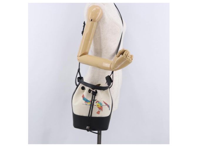 LOEWE Paula's Ibiza Collaboration Tasche Canvas 2way Ivory Silver Auth 202301M Silber Roh - Ansicht 25