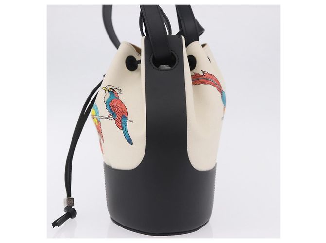 LOEWE Paula's Ibiza Collaboration Tasche Canvas 2way Ivory Silver Auth 202301M Silber Roh - Ansicht 3