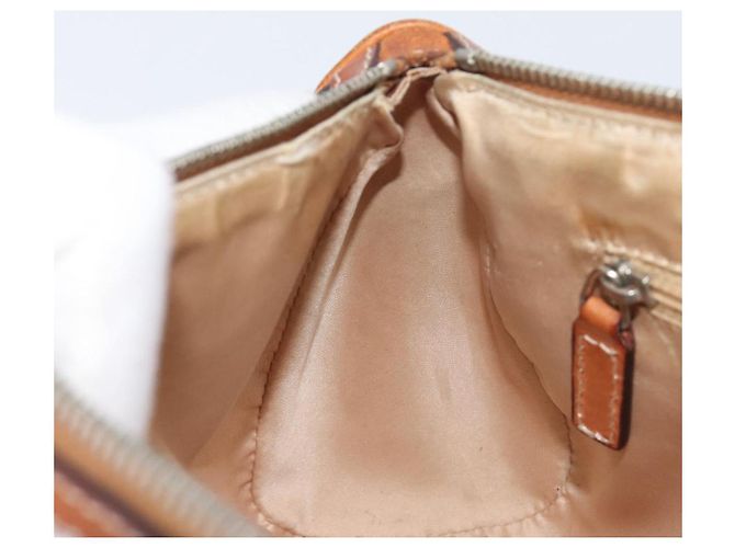 Borsa Christian Dior Trotter Canvas Romantic Chain Bag PVC Brown Silver Auth 196875M Marrone Argento - vista 23
