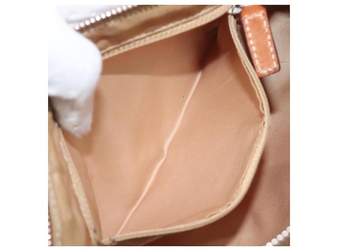 Borsa Christian Dior Trotter Canvas Romantic Chain Bag PVC Brown Silver Auth 196875M Marrone Argento - vista 25