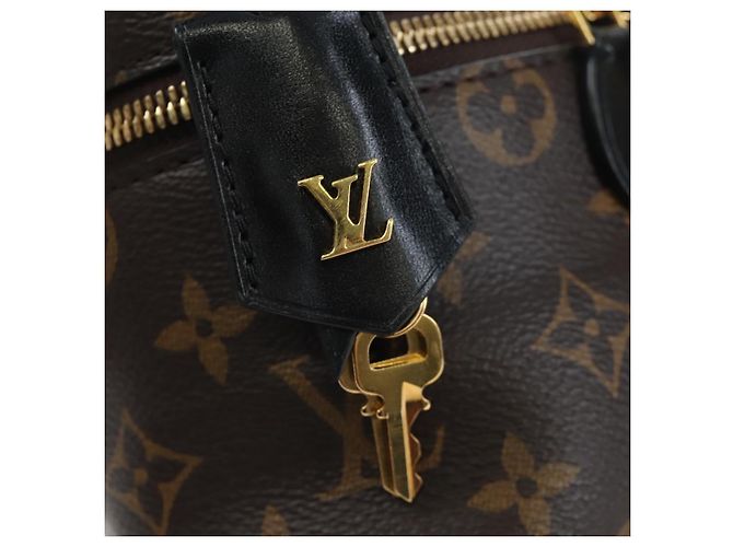 LOUIS VUITTON Monogram Reverse Vanity NVPM Hand Bag 2way M45165 LV Auth 202201SM Monogramm - Ansicht 19