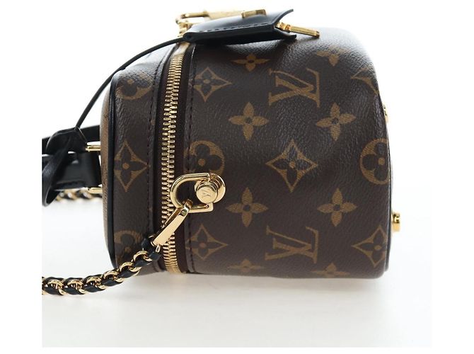 LOUIS VUITTON Monogram Reverse Vanity NVPM Hand Bag 2way M45165 LV Auth 202201SM Monogramm - Ansicht 4