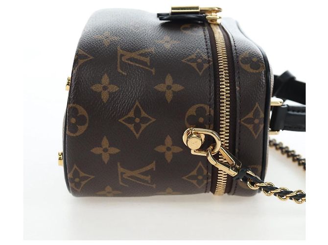 LOUIS VUITTON Monogram Reverse Vanity NVPM Hand Bag 2way M45165 LV Auth 202201SM Monogramm - Ansicht 5