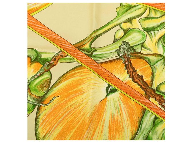 Foulard di seta Hermès Jardin Creole Arancione 90 - vista 8