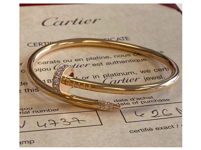 Bracciali Cartier Juste Un Clou Pm Multicolore - vista 5