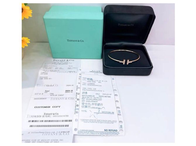 Bracciali Tiffany T di Tiffany & Co Multicolore - vista 2