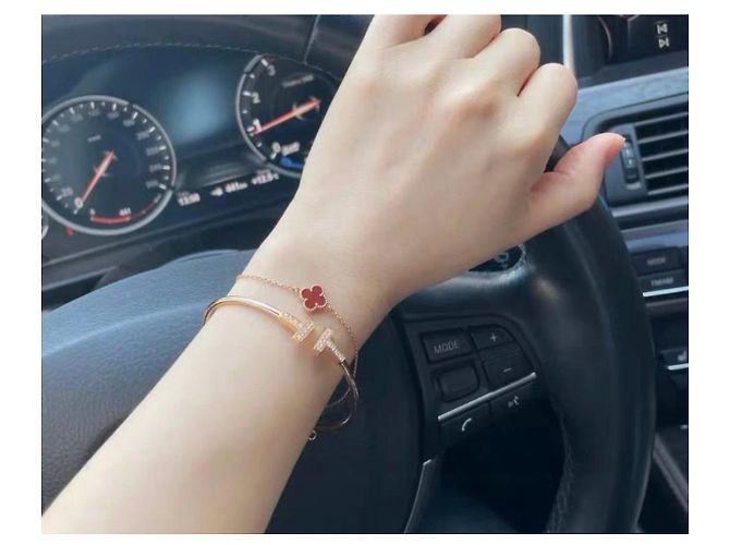 Bracciali Tiffany T di Tiffany & Co Multicolore - vista 6