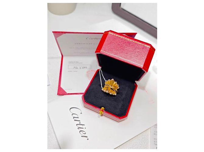 Anillo Cartier Talla 50 Multicolor - vista 3
