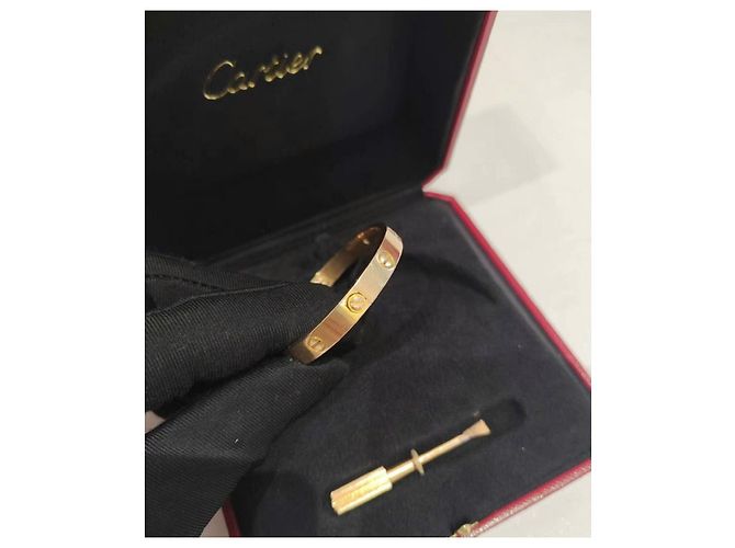 Bracciali Cartier Love Multicolore - vista 3