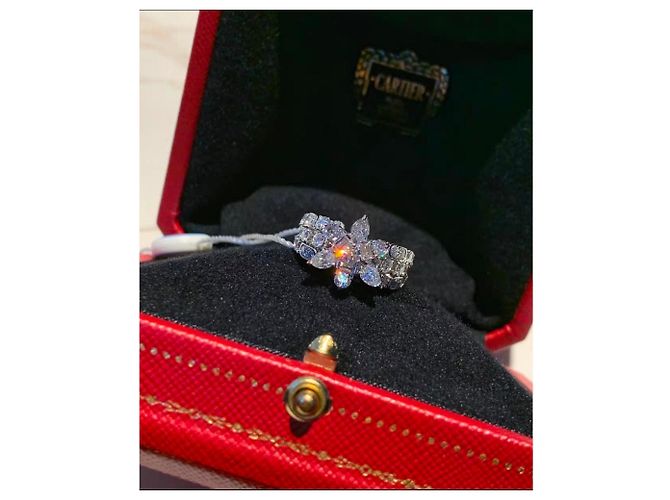 Anello Cartier Taglia 53 Multicolore - vista 4