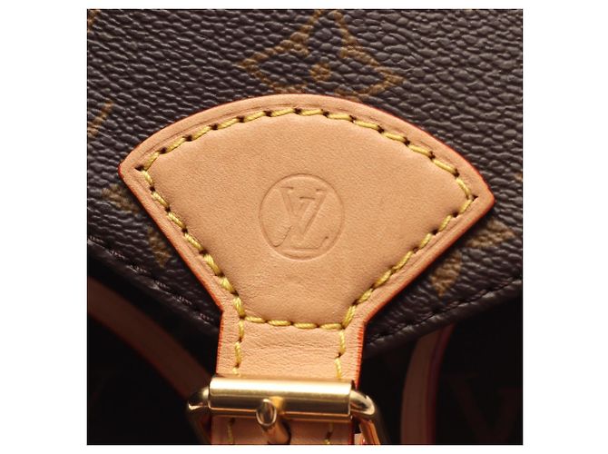 Zaino/Borsa Louis Vuitton Montsouris PM Monogram Marrone - vista 12