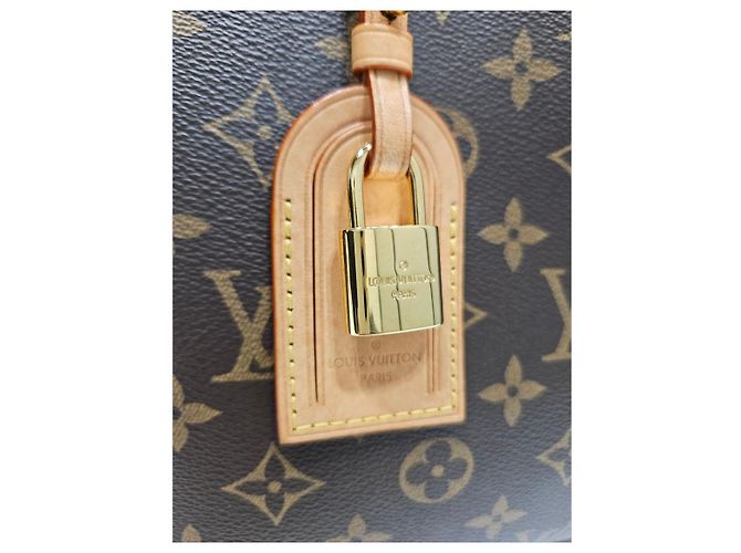 Louis Vuitton Petit Pallet Borsa a mano marrone in pelle - vista 14