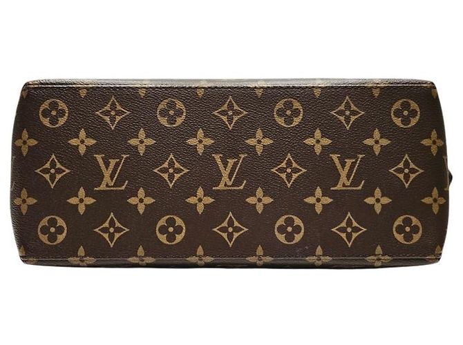 Louis Vuitton Petit Pallet Borsa a mano marrone in pelle - vista 4