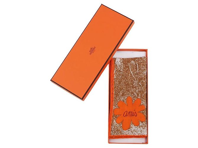 Hermès Sciarpa Amis pour la Vie Marrone - vista 11
