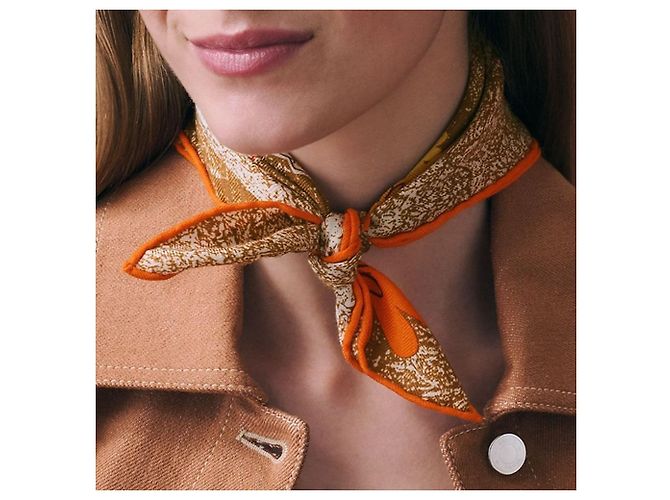 Hermès Sciarpa Amis pour la Vie Marrone - vista 4