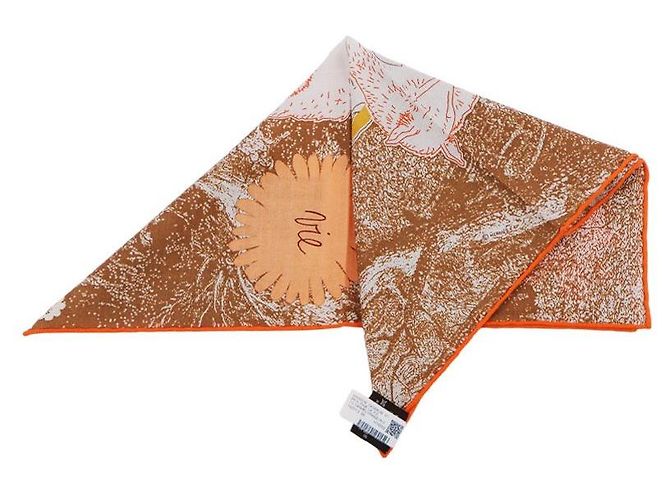 Hermès Sciarpa Amis pour la Vie Marrone - vista 8